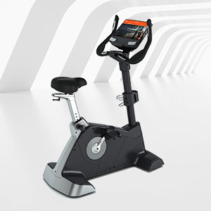 BCE-301T健身房高檔立式健身車